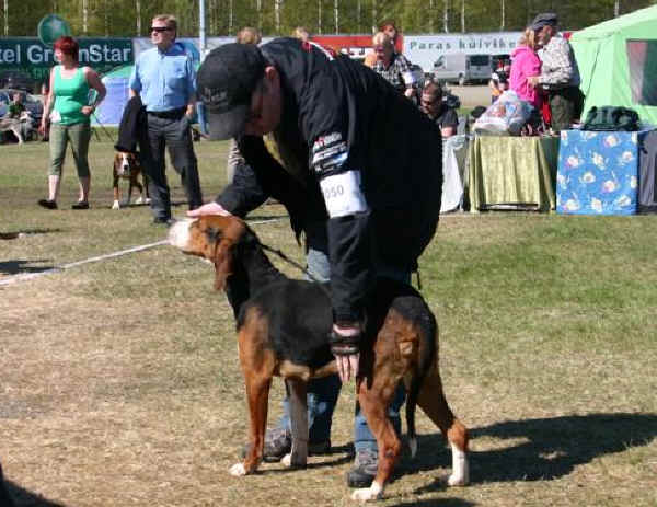 Kuva