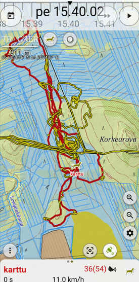 Kuva